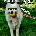 Аватар — Михаил Марков